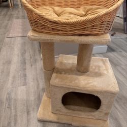 Cat Tree 