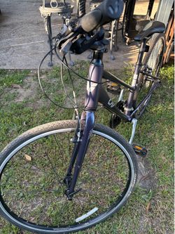 Bike Liv