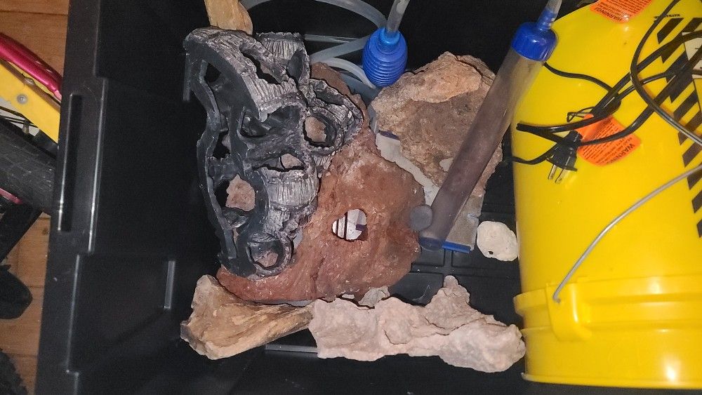 Fish Tank And Supplies