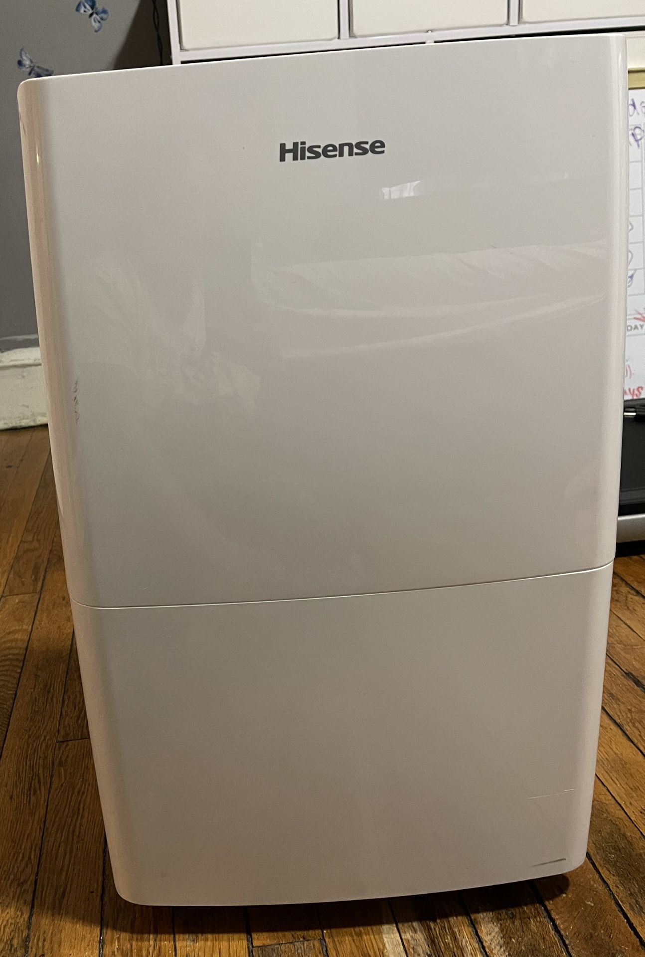 Hisense Dehumidifier
