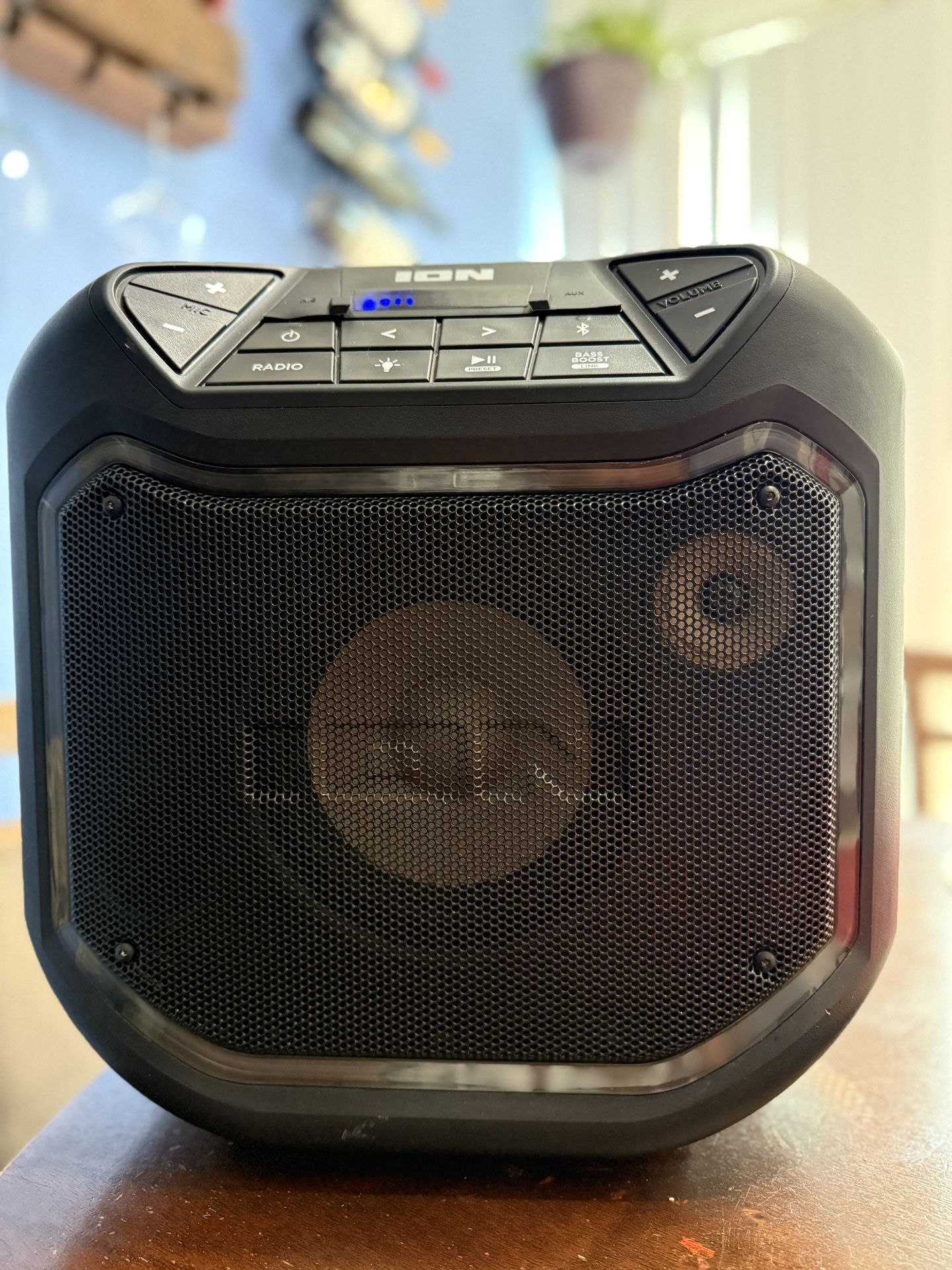 ION Speaker