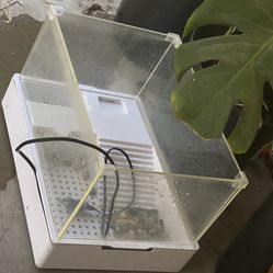 Reptile Tank