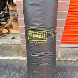 Choice Of Champions Heavy Bag