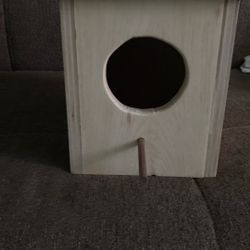 Bird House 
