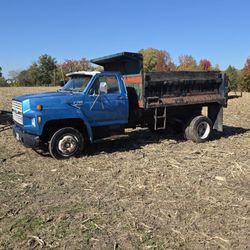 1989 Ford F-700