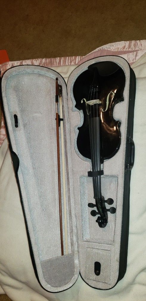 Violin Bow And Hard Case