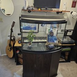 40 Gallon Bow Front Aquariam Plus Stand