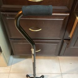 Cane/Walking Aid