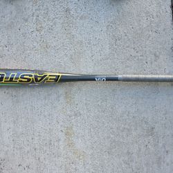 Baseball bat - new