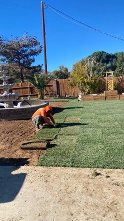 Fresh Sod and Sprinklers