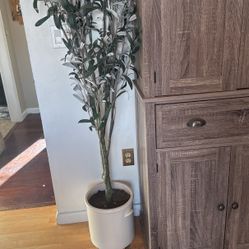 Indoor Plant artificial