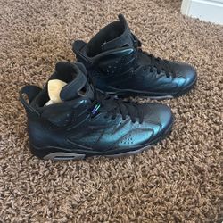 Nike Air Jordan 6 Retro All Star Chameleon Size Men’s 10