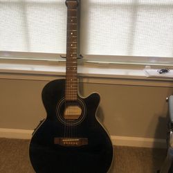 Takamine  Aucoutic guitar With Stand And Hard Case  