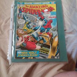 The Amazing Spider-Man Comic 