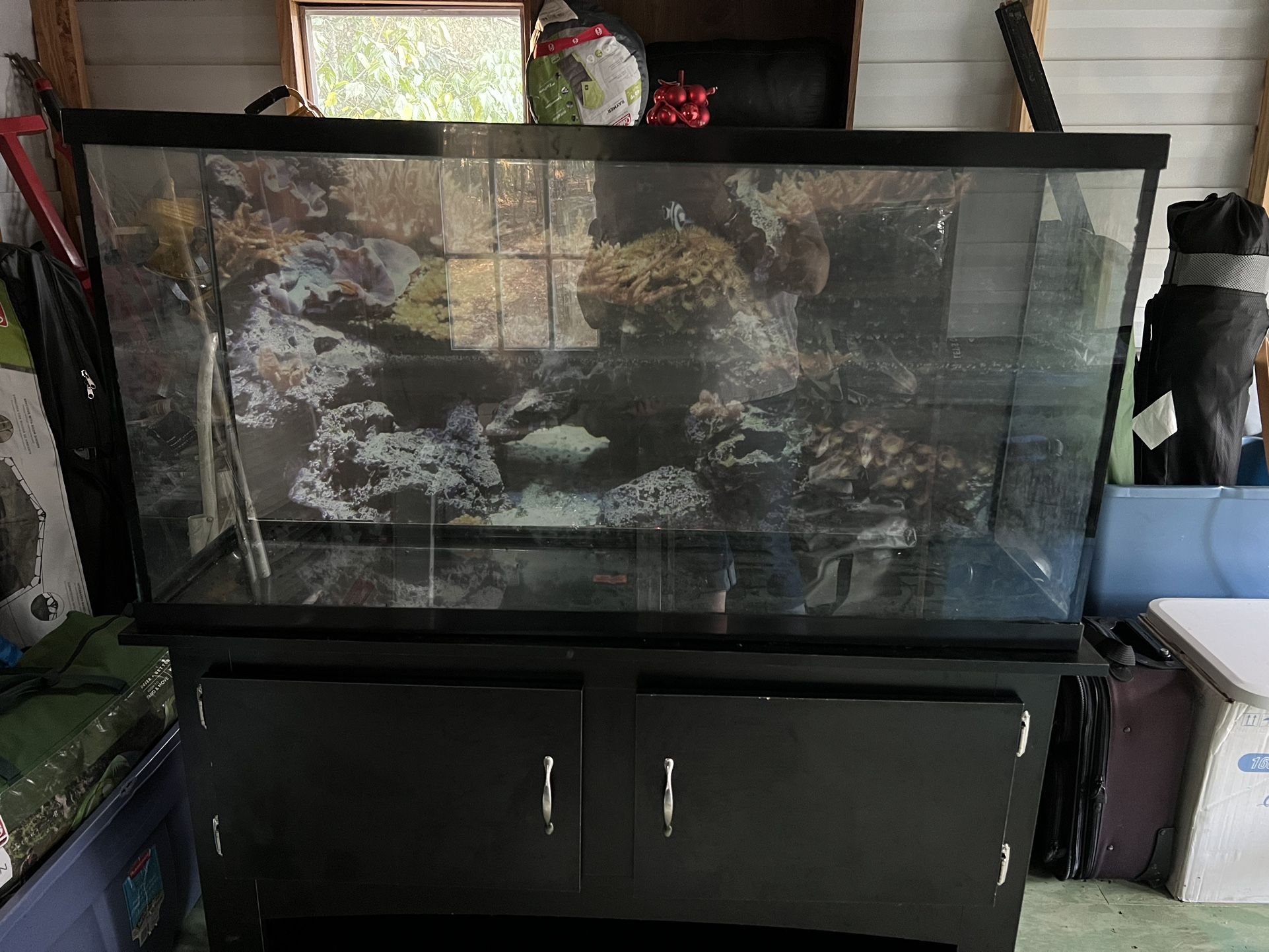 65 Gallon Aquarium
