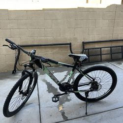 Adult Bike
