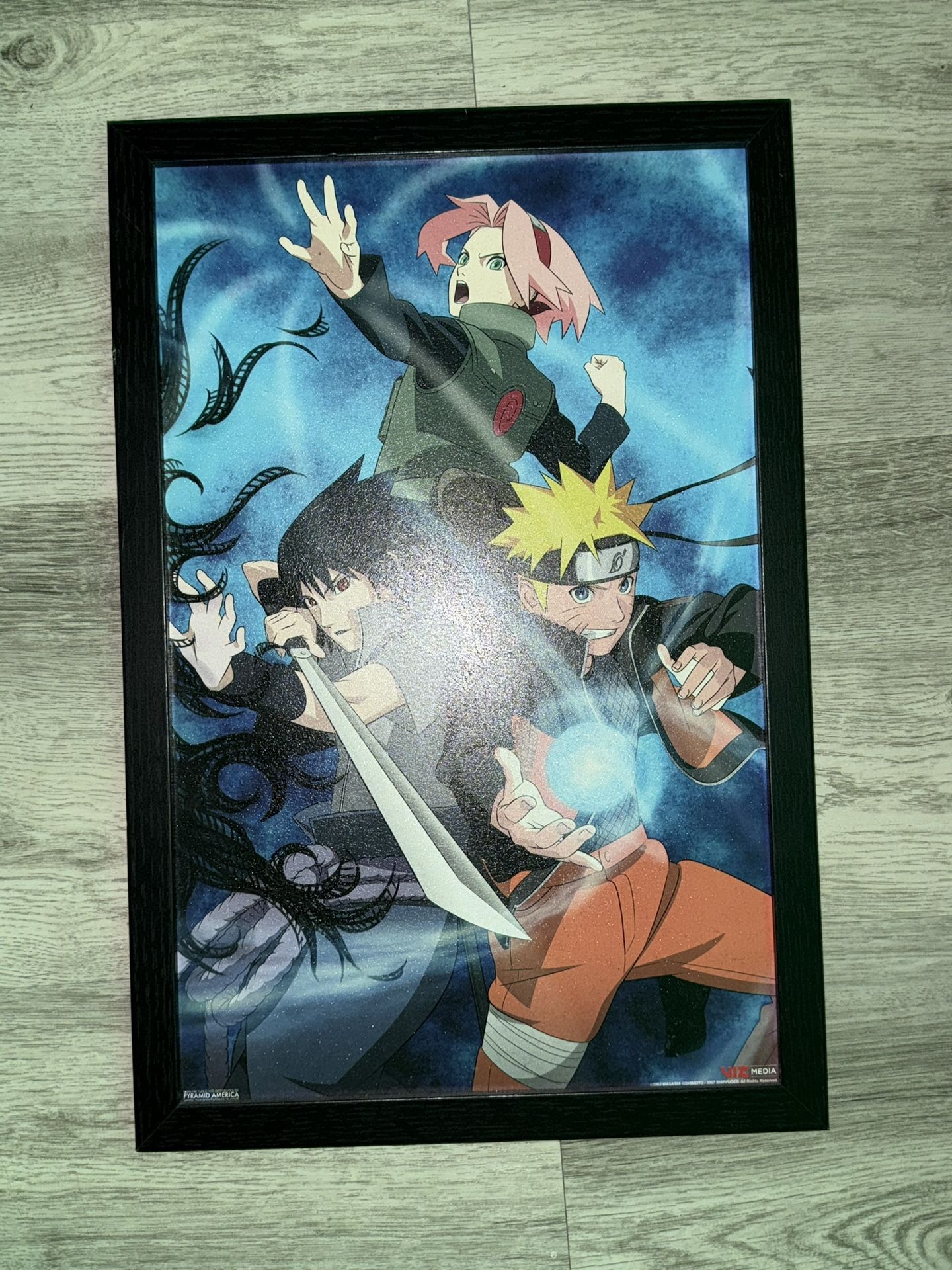 Framed Posters