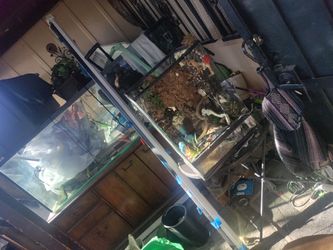 Huge Projector Screen 