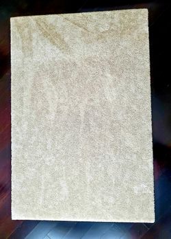 Rugs (i have 3 of them) $50 each size 4'4 "×6'5"