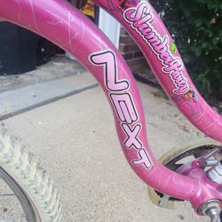 20 Inches Wheel Bicycle 