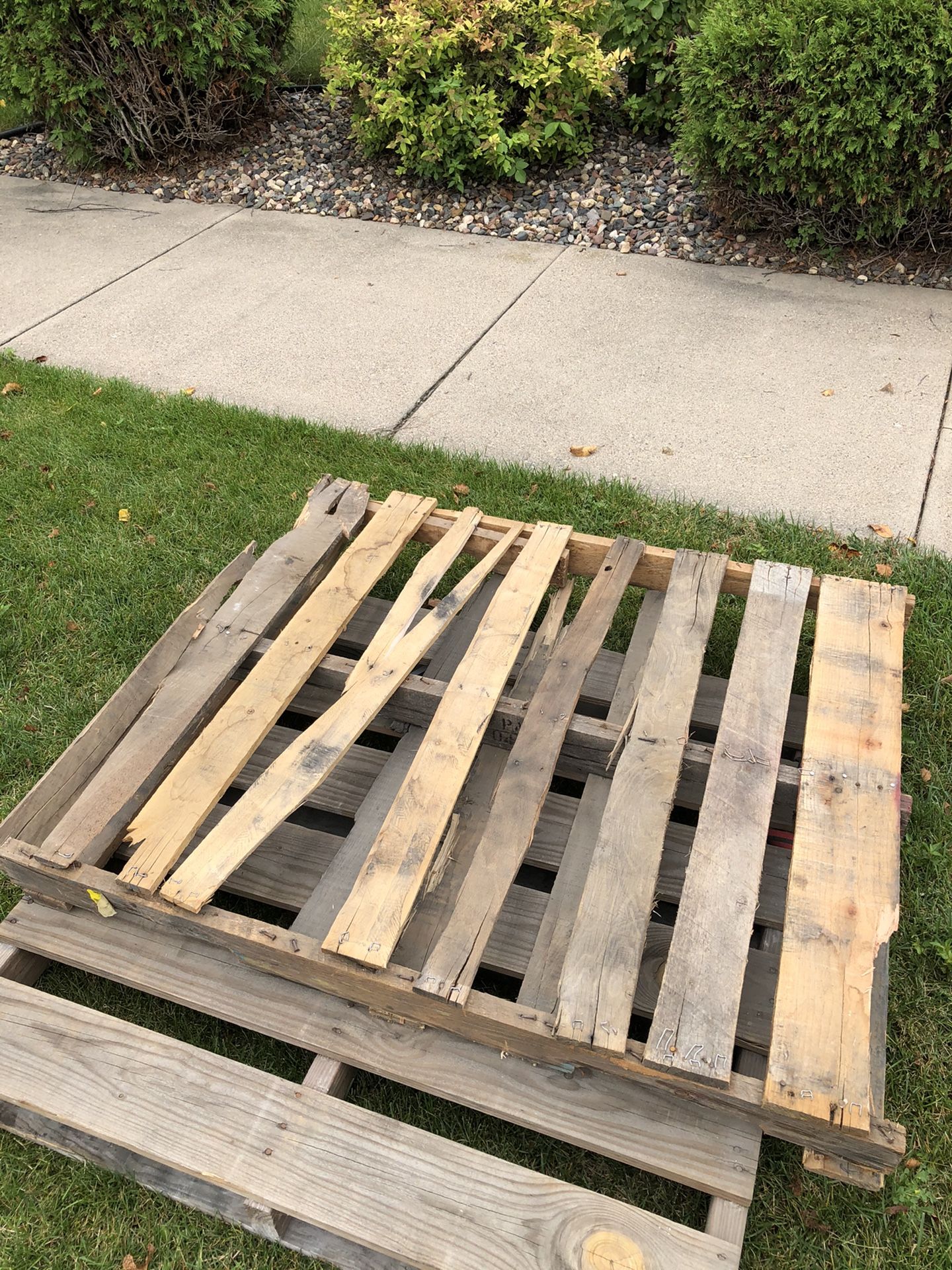 FREE - two wood pallets