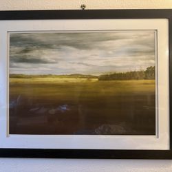 Crate And Barrel Wall Art