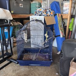Bird Cage 