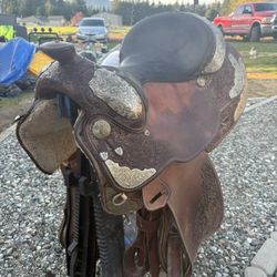Hereford Saddle 