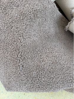 Carpet- in great shape