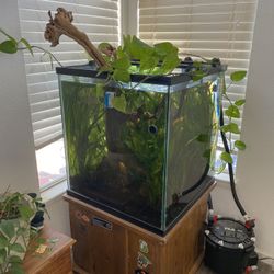 110 Gallon Cube Aquarium 