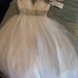 Quinceañera/wedding Dress