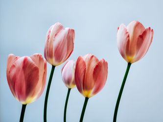 Handmade Mother’s Day Flower Boxes