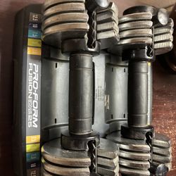 Pro-Form Fusion Space Saver 25 Weights 🏋🏻