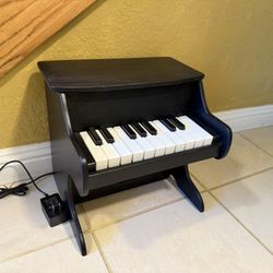 Pet Piano (cat / dog)