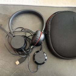 Headset With Mic