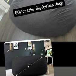 Big Joe Bean Bag 