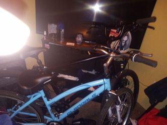 Glendale Blue Bicycle