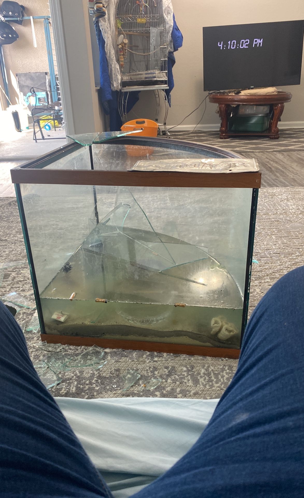 Fish Tank