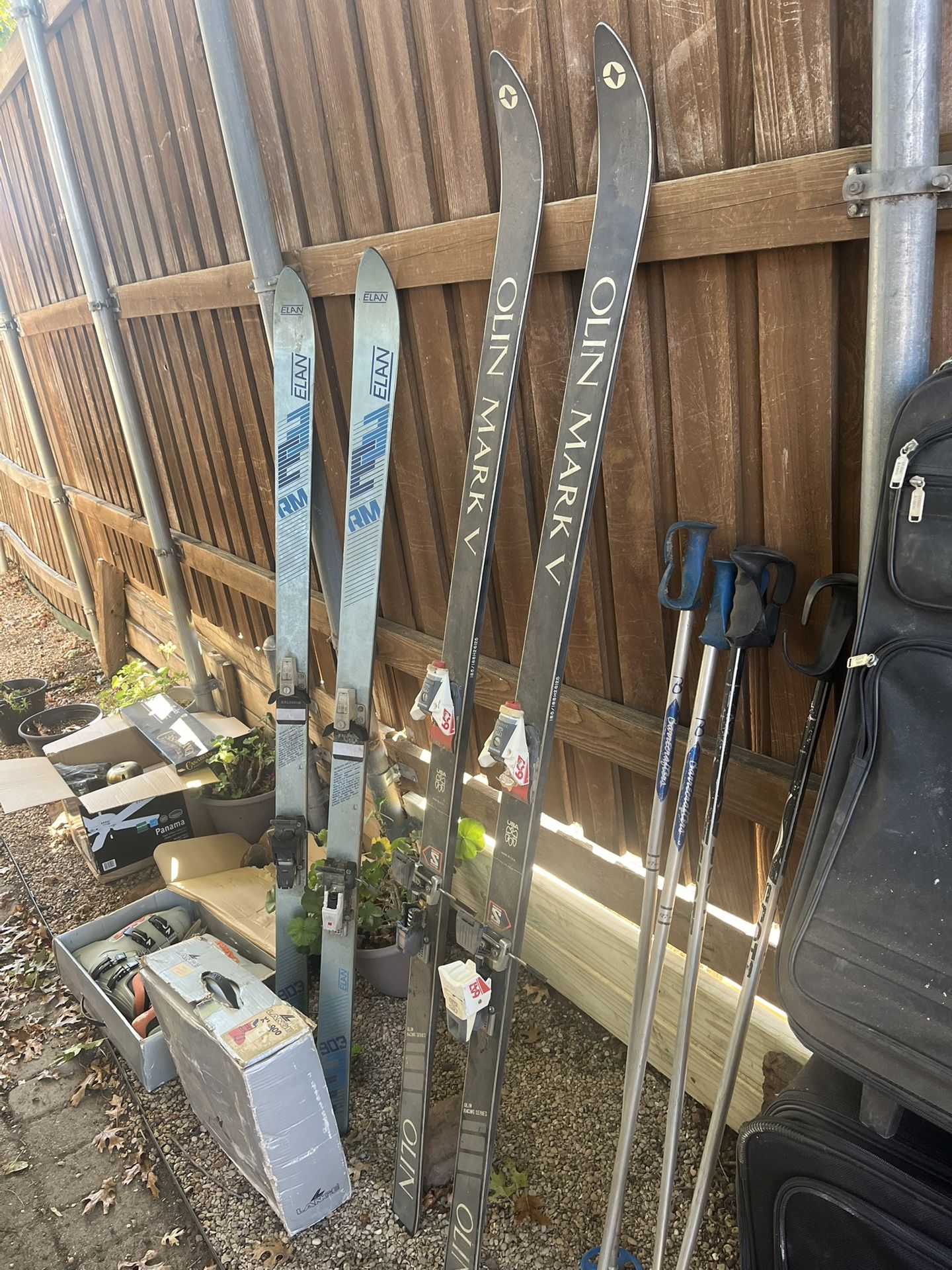 Sports Equipment and Luggage