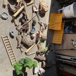 Reptile/exotic Pet Decor — STEAL