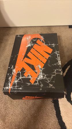 Air Jordan 1 “shattered backboard”