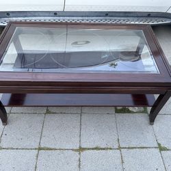 Elegant Glass-Top Coffee Table with Storage Shelf