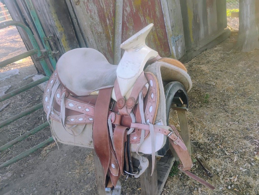 Silla De Montar