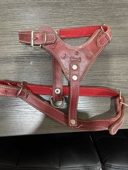 Small Dog Hardness