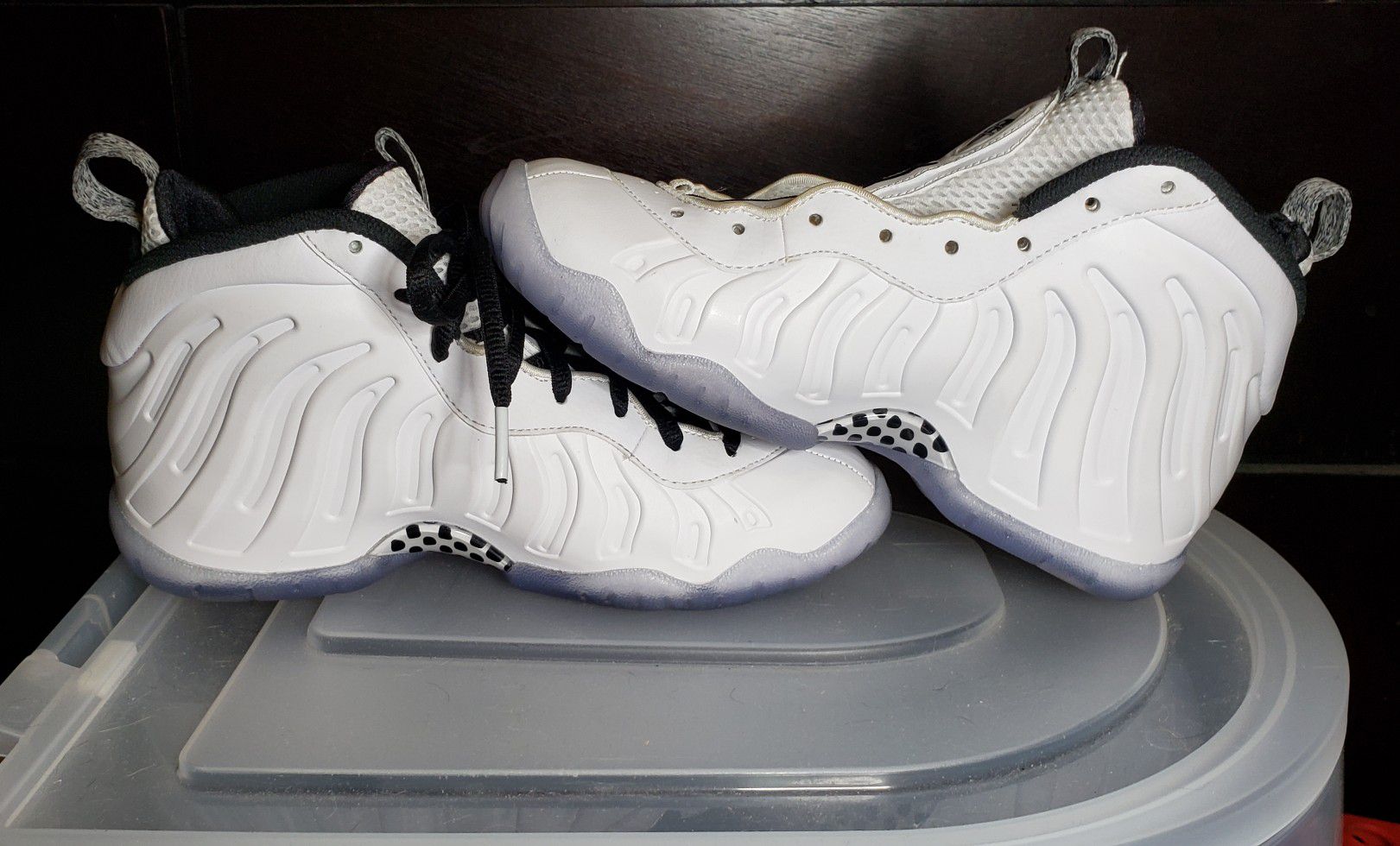 Air Foamposite One White Ice (GS)