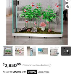 Fish Tank 