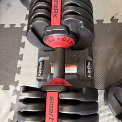 Adjustable Dumbell 
