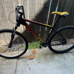 29” Schwinn Mountain Bike