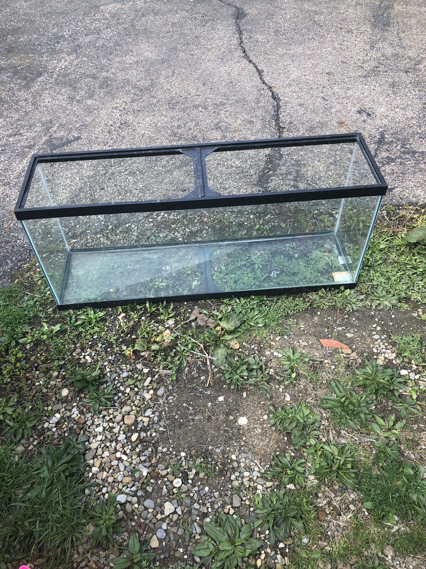 55 Gallon Aquarium