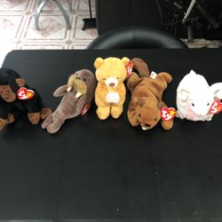 Beanie Baby’s 